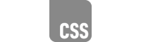 CSS Logo